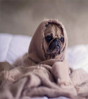 铁岭有这样的手机号码，留不住钱，你中枪了吗？