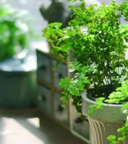 铁岭专属于你的开运指南，助你鸿运当头福满身！