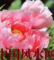 铁岭预示你财运上升，姻缘可成的梦境，快来看看吧！