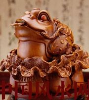 铁岭解读金蟾最合适的位置，这样摆放更招财！