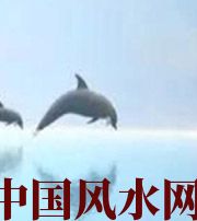 铁岭做梦梦到这些，是要富裕的征兆！