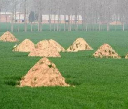 铁岭阴宅风水：形峦三十六绝